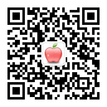 bob体肓官网入口